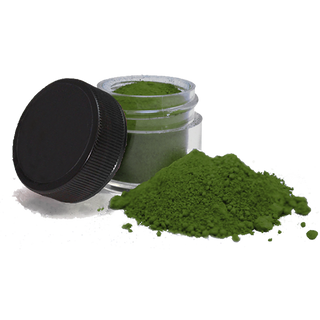 Fern Edible Paint Powder - Exp Nov. 2025 - FDA & Kosher - fern-edible-paint-powder - elite color, green - The Sugar Art