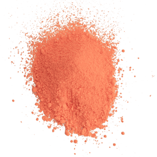 Pumpkin Edible Paint Powder - Edible Paint Powder - pumpkin-edible-paint-powder - airbrush, dusting, edible paint, edible paint for cakes, edible paint for cookies, edible paint powder, elite color, paint, petal dust, petal dust for gum paste flower - The Sugar Art